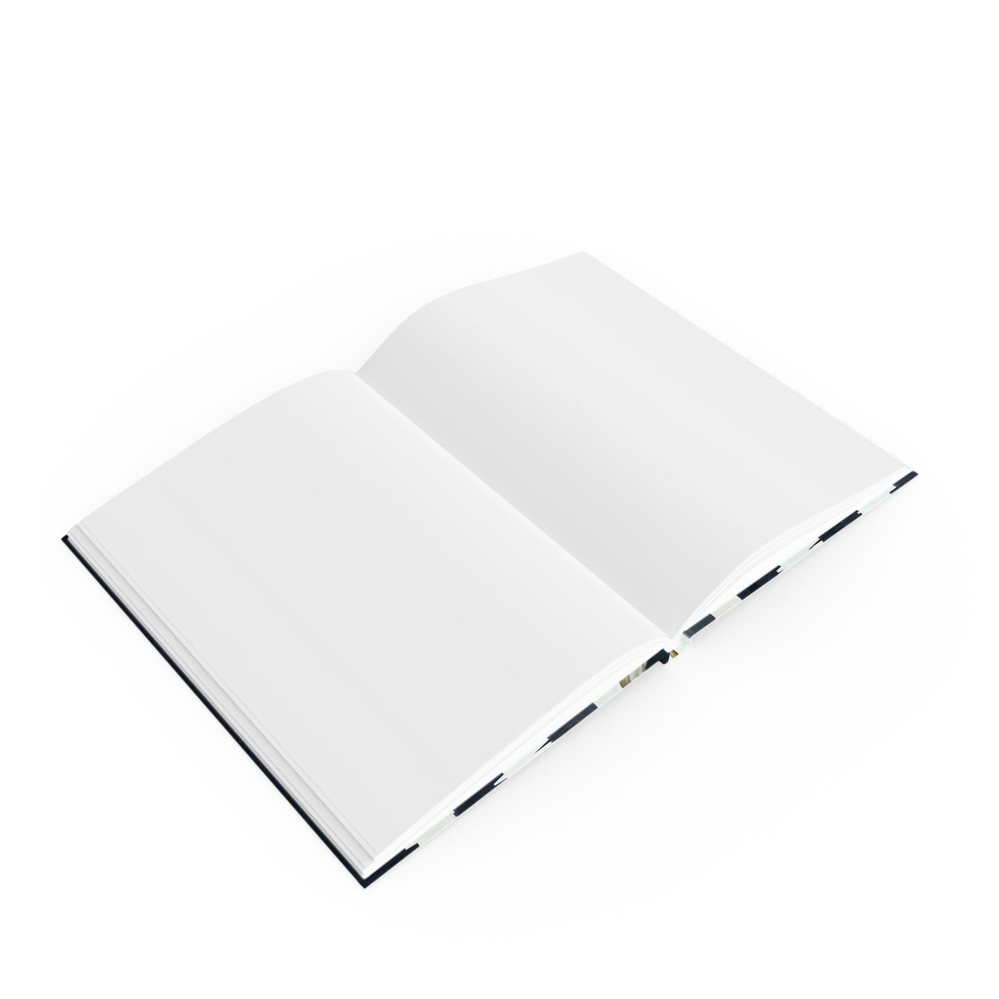Journal