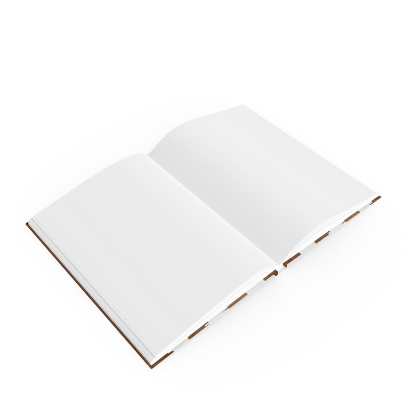 Journal